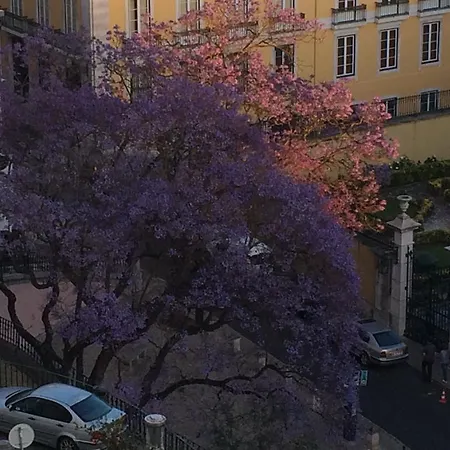 Lilia Castelo Panoramic Διαμέρισμα